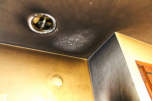 Fire Damage Cleanup in Sarasota